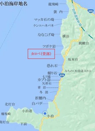 chimei 21 2-1（カヨベ）.jpg